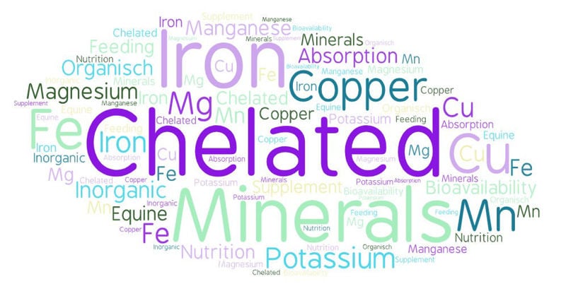 The Benefits of Chelated Minerals in Equine Nutrition